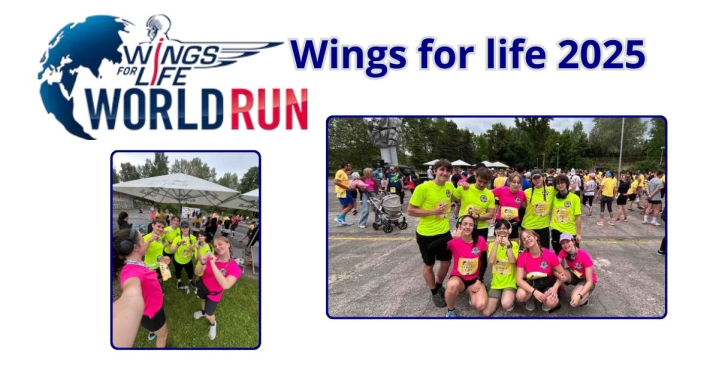 Wings for life 2025
