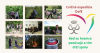 DofE Practice Expedition