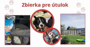 Zbierka pre útulok
